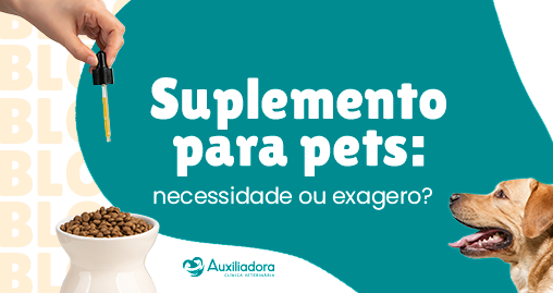 Suplementação em cães e gatos: exagero ou necessidade? 